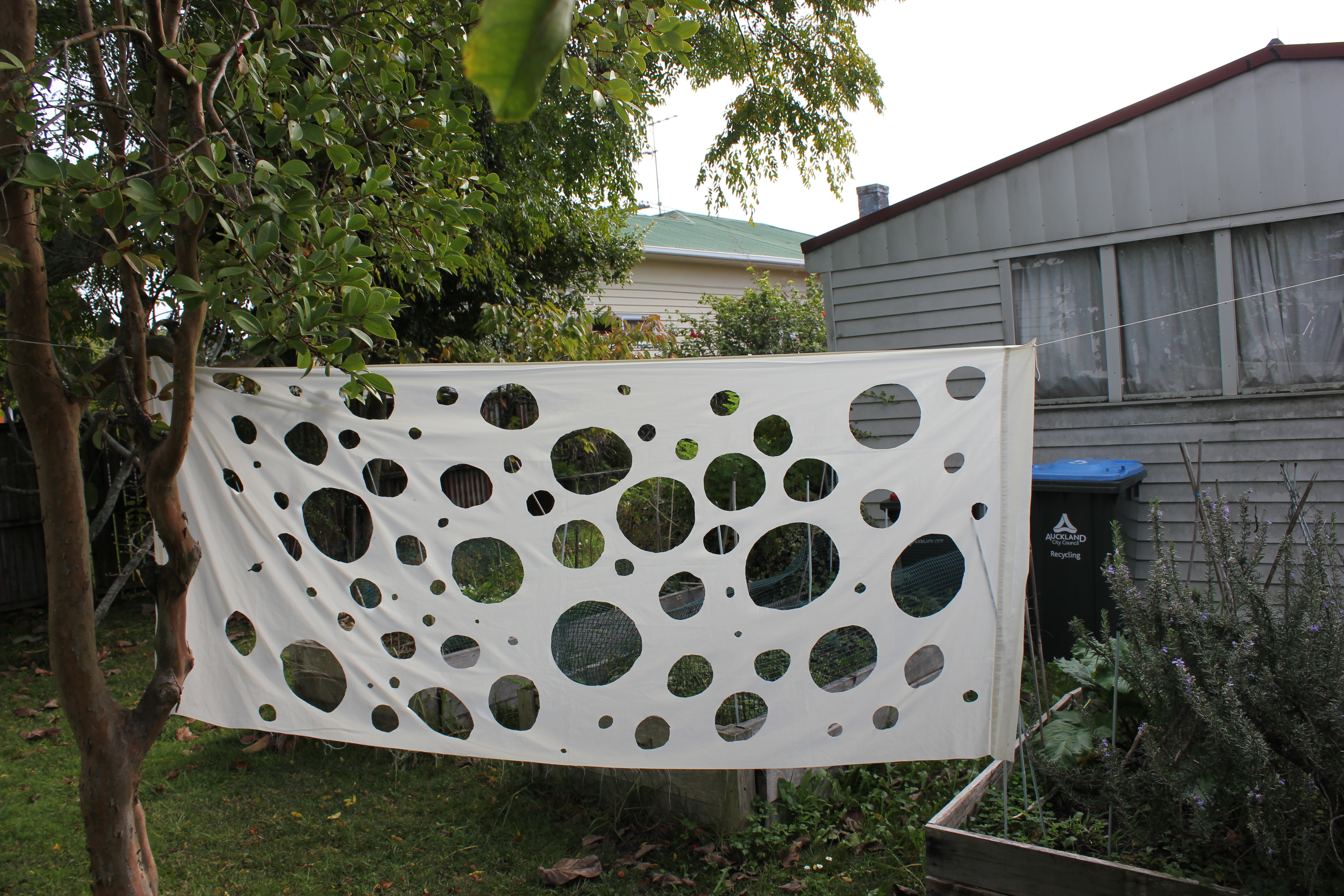 Sheet with holes being hung in a backyard